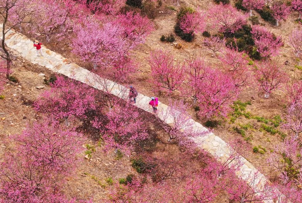 中广核去年实现上网电量2721.9亿千瓦时